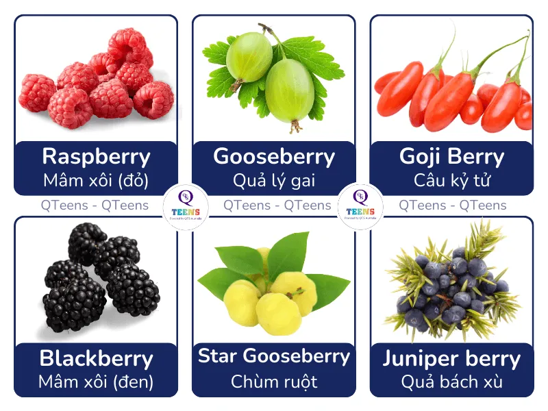Hình ảnh các loại quả mọng berry khác