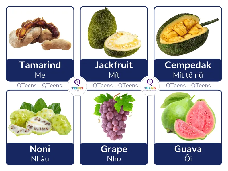 Minh họa quả nho và quả mít tiếng Anh