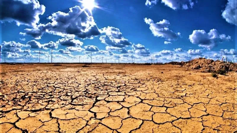 Ngữ cảnh sử dụng từ thực trạng