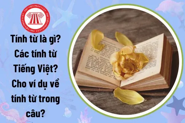 Tính từ là gì? Các loại tính từ và ví dụ minh họa trong câu