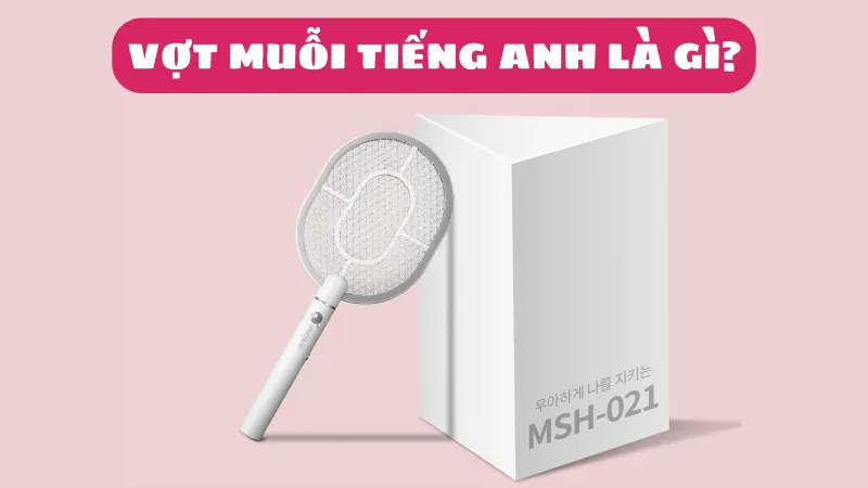 Vợt muỗi tiếng Anh là gì và các từ vựng liên quan