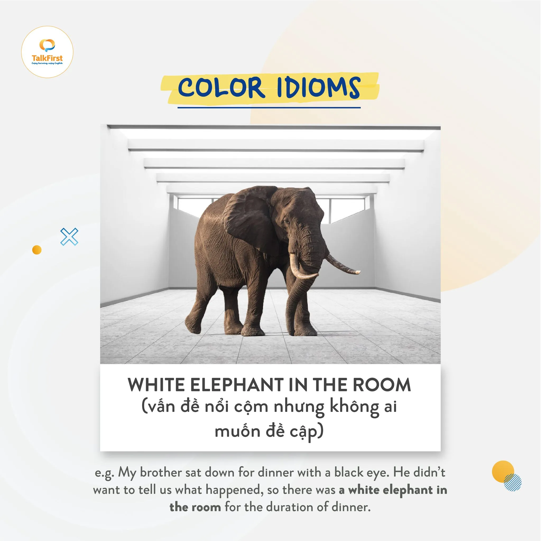 Thành ngữ White elephant in the room - Vật tốn kém nhưng vô dụng