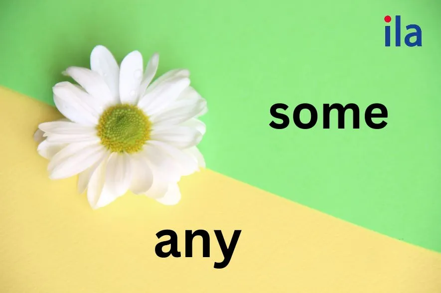Phân biệt cách dùng some và any trong tiếng Anh