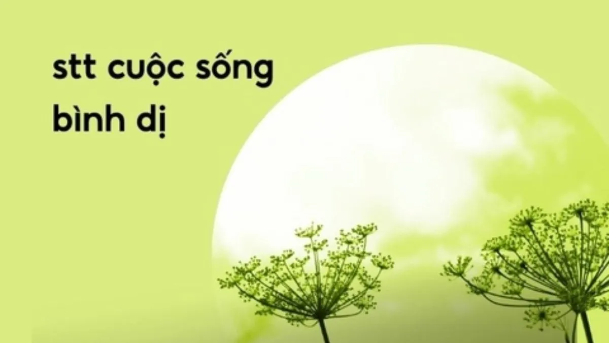 Cô gái đang tận hưởng không gian yên bình và đọc sách giữa thiên nhiên