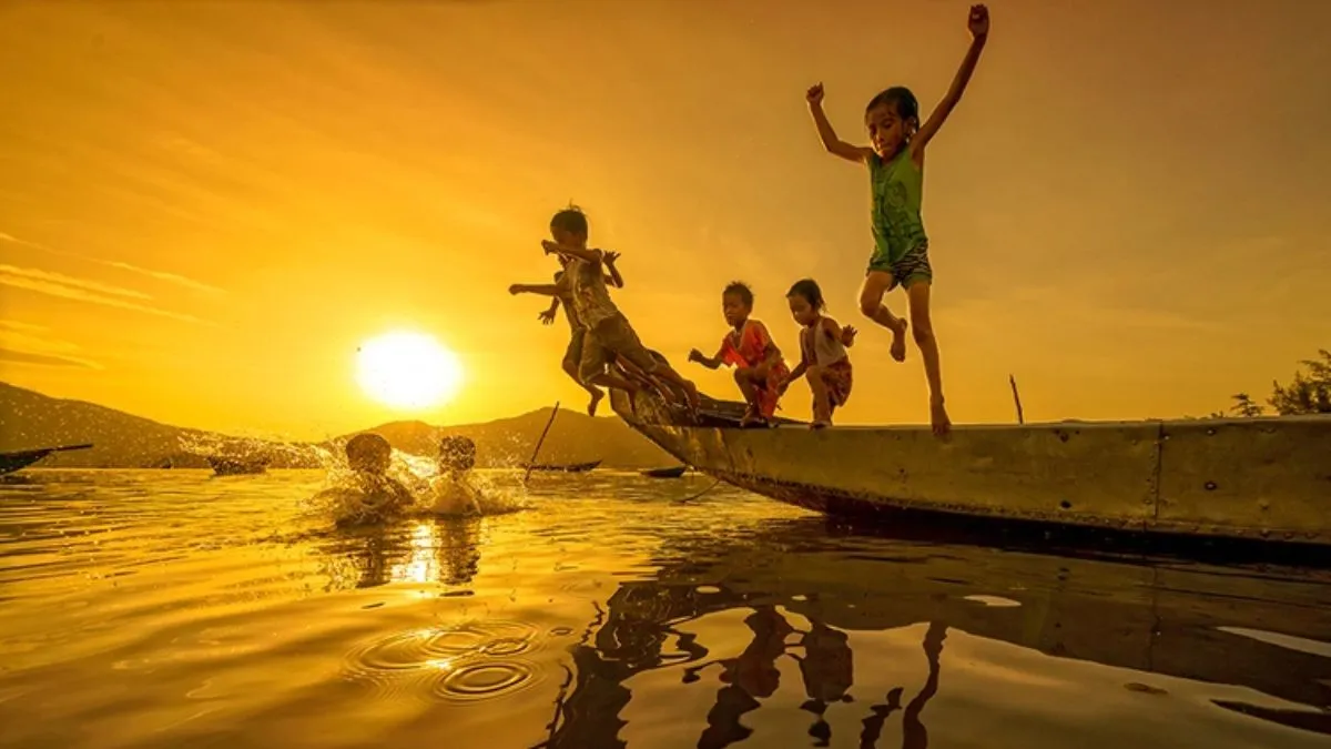 Cánh đồng hoa cúc trắng mang lại cảm giác nhẹ nhàng thư thái