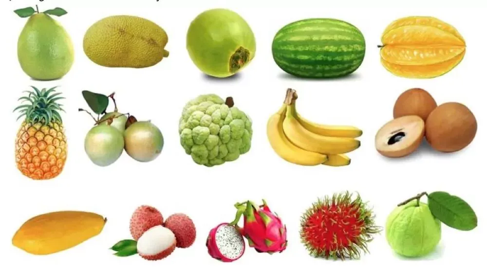 Mẫu câu giao tiếp về trái cây tiếng Anh thông dụng