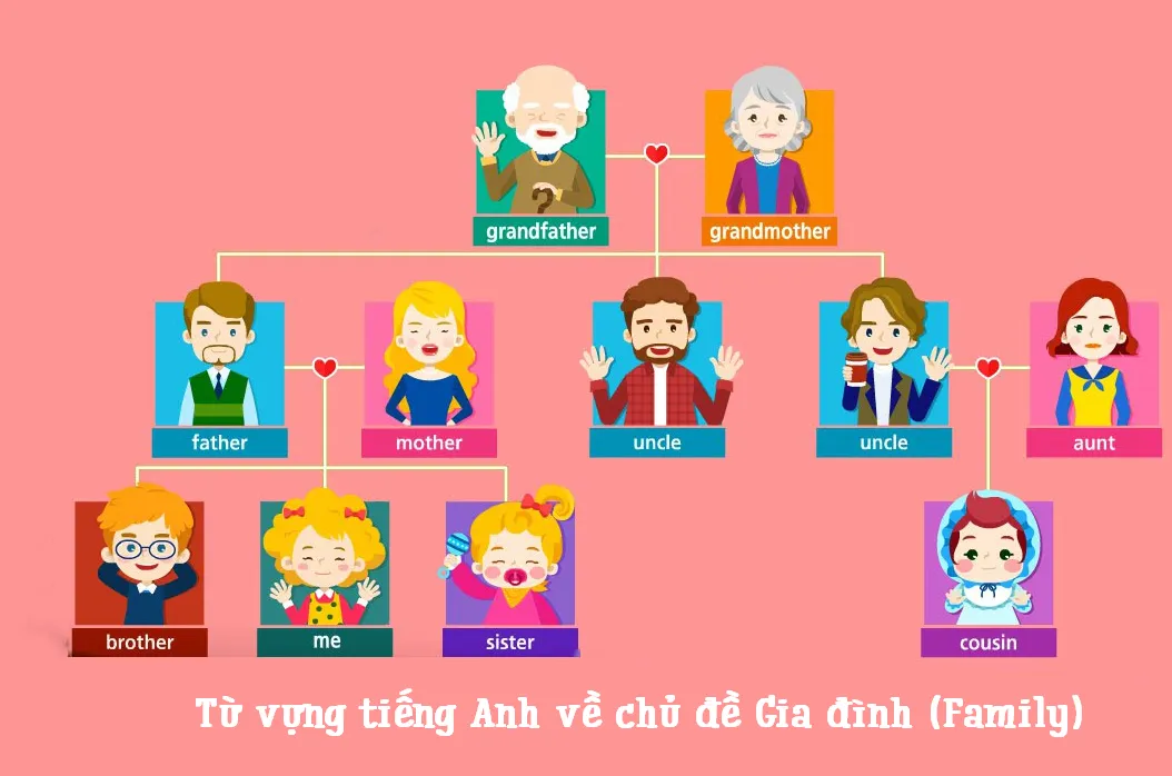 Sơ đồ cây phả hệ gia đình bằng tiếng Anh