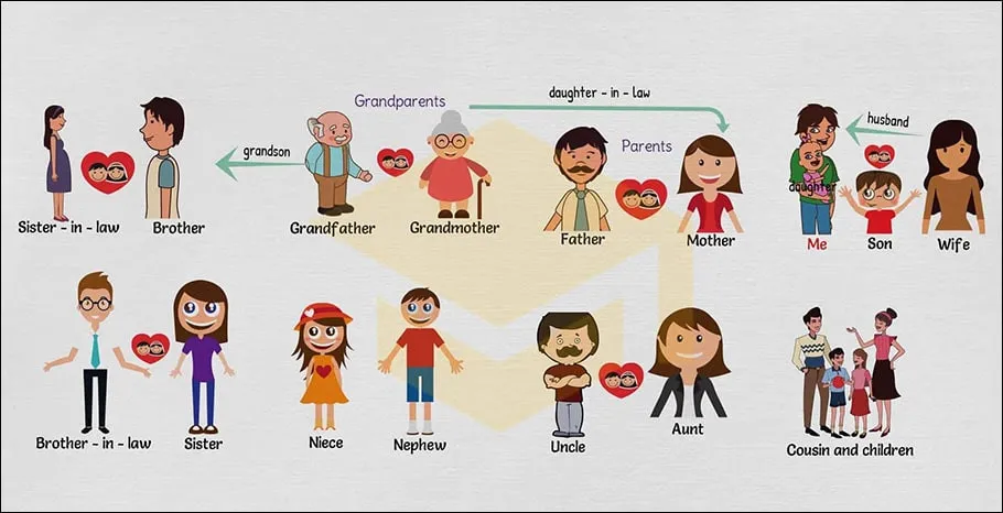 Từ vựng tiếng Anh về gia đình qua hình ảnh trực quan