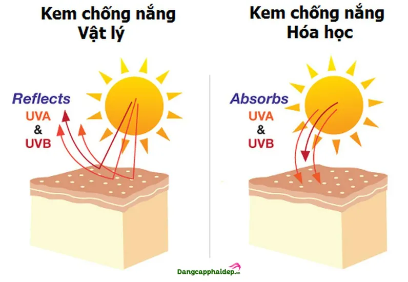 Phân biệt kem chống nắng vật lý và hóa học