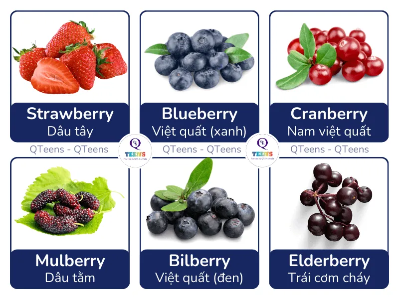 Danh sách các loại quả mọng berries bằng tiếng Anh