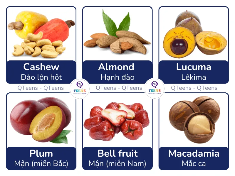 Hình ảnh minh họa quả roi và các loại trái cây 1 hạt khác