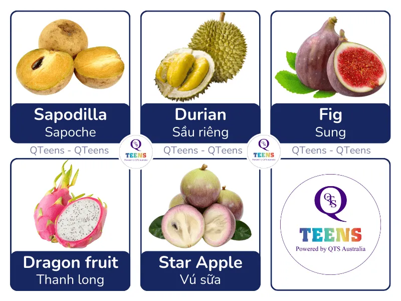 Tổng hợp hình ảnh các loại trái cây nhiều hạt khác