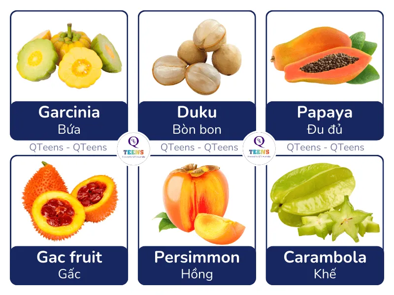 Bảng từ vựng các loại trái cây nhiều hạt bằng tiếng Anh