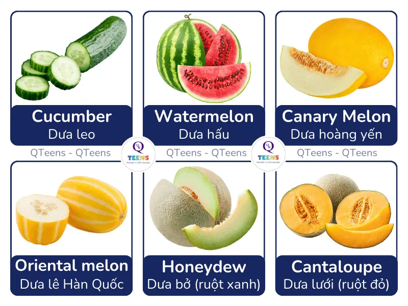 Các loại dưa phổ biến trong tiếng Anh