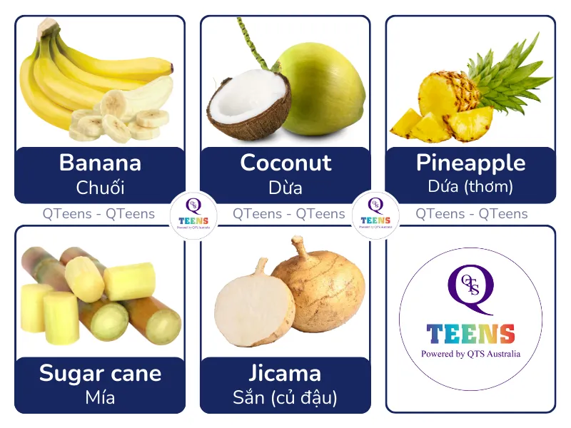 Một số loại trái cây thông dụng khác bằng tiếng Anh