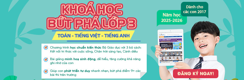 Màu sắc rực rỡ của hoa đào khoe sắc trong ngày Tết
