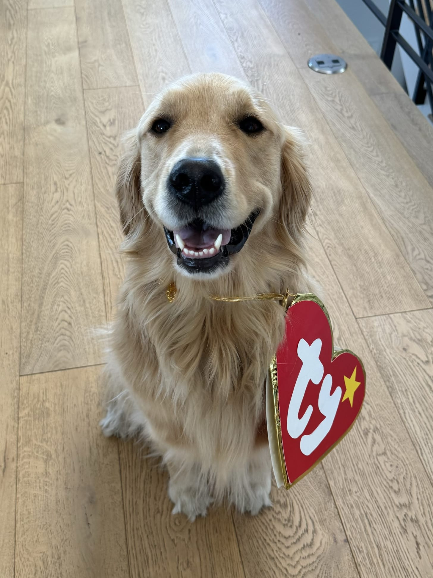 Hành trình ẩm thực hàng tuần: Bí quyết bữa trưa nhanh gọn và những món ngon mới