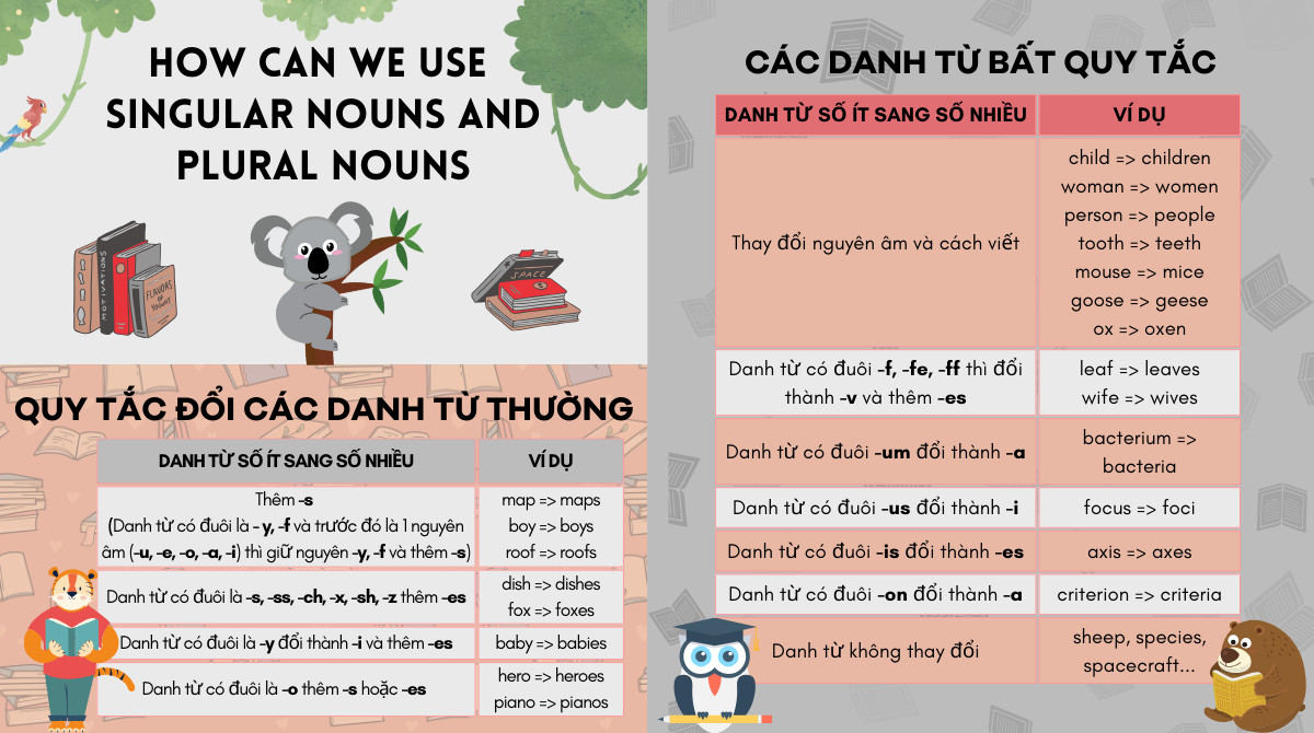 Hướng Dẫn Chi Tiết Về Danh Từ Số Ít và Số Nhiều Trong Tiếng Anh