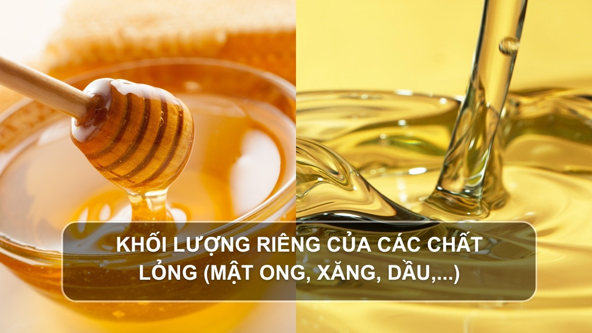 Công thức tính khối lượng riêng