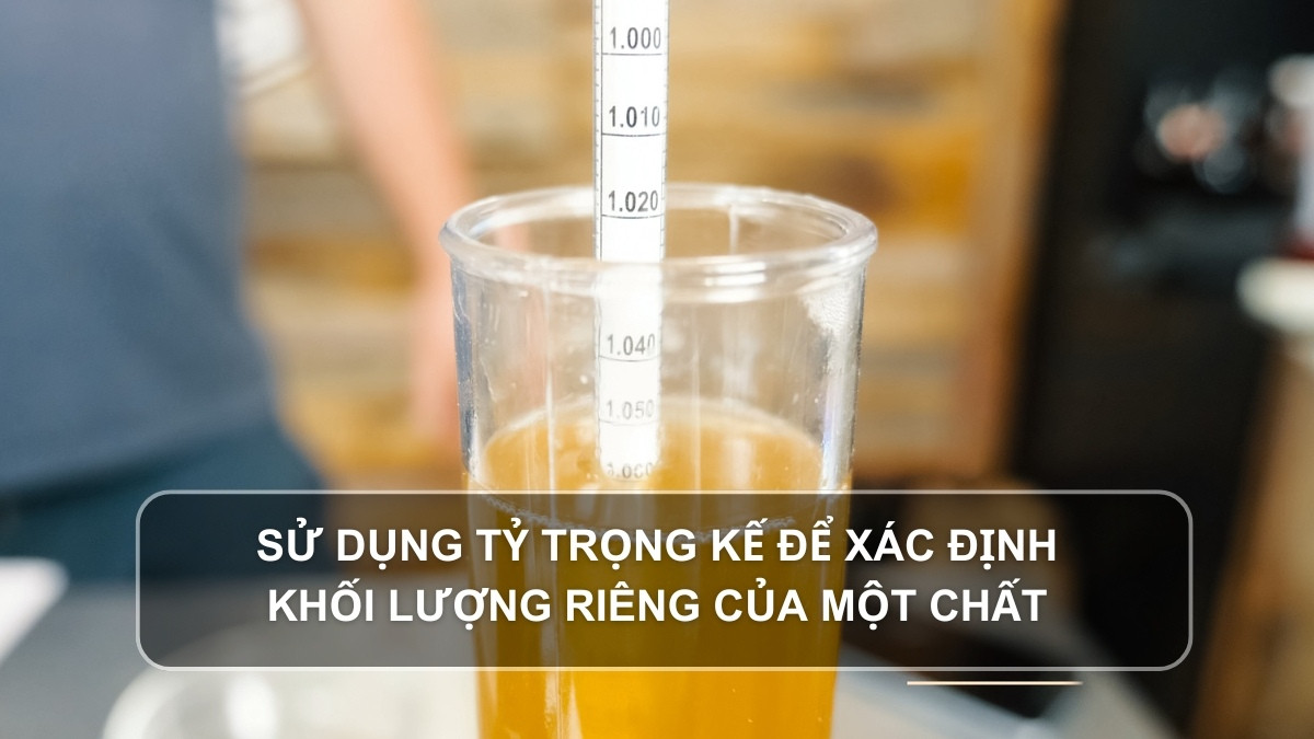 Sử dụng tỷ trọng kế để xác định