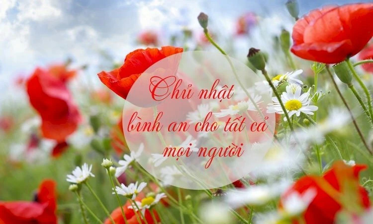 Những lời chúc cuối tuần ý nghĩa gửi trao yêu thương