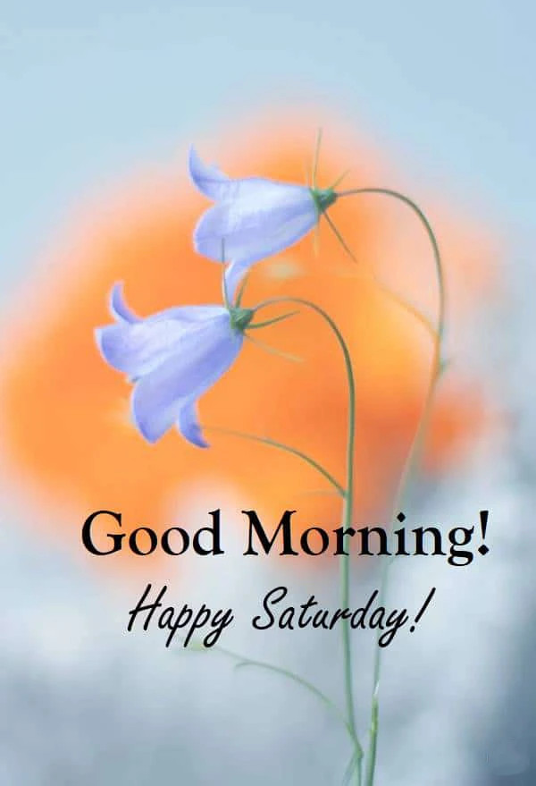 Lời chúc cuối tuần ý nghĩa gửi tặng khách hàng