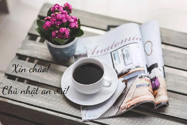 Hình ảnh lời chúc cuối tuần vui vẻ với gam màu tươi sáng