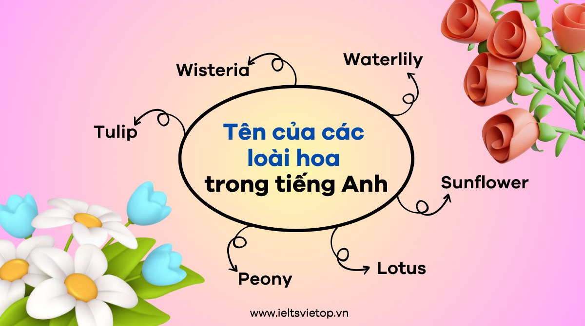 Một số tên tiếng Anh theo các loài hoa