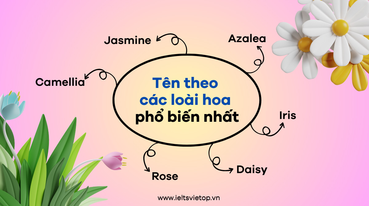 Khám phá thế giới hoa: Tên gọi tiếng Anh, ý nghĩa và từ vựng liên quan 19 Khám phá thế giới hoa: Tên gọi tiếng Anh, ý nghĩa và từ vựng liên quan