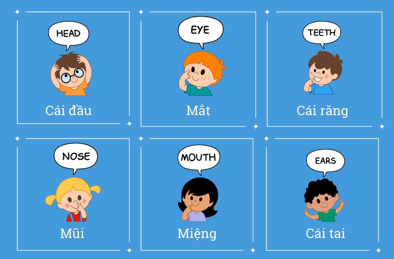 Từ vựng tiếng Anh về cơ thể người: Phần Đầu và Cổ