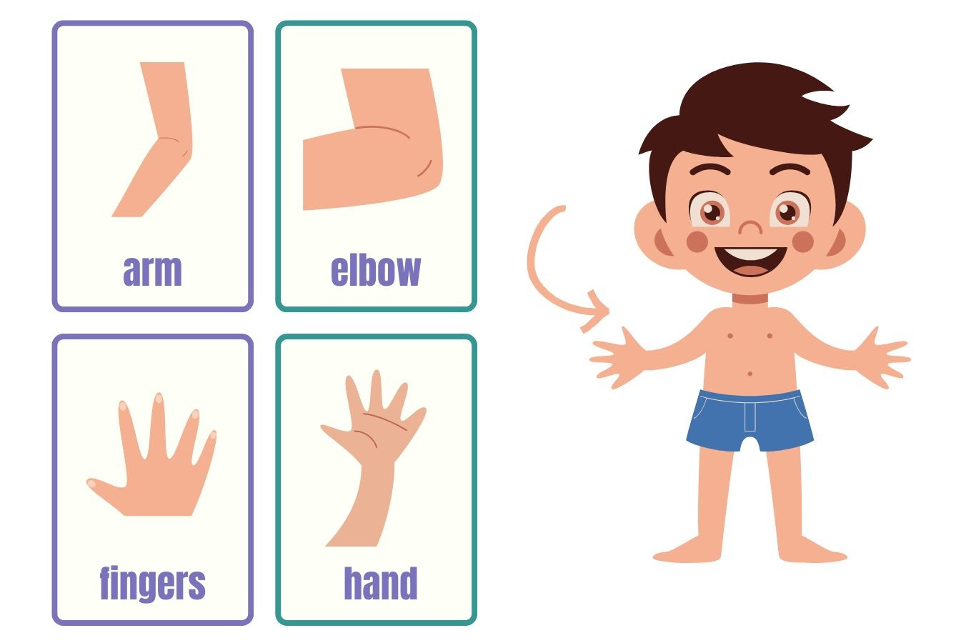 Từ vựng Tiếng Anh về Cơ thể: Phần Tay