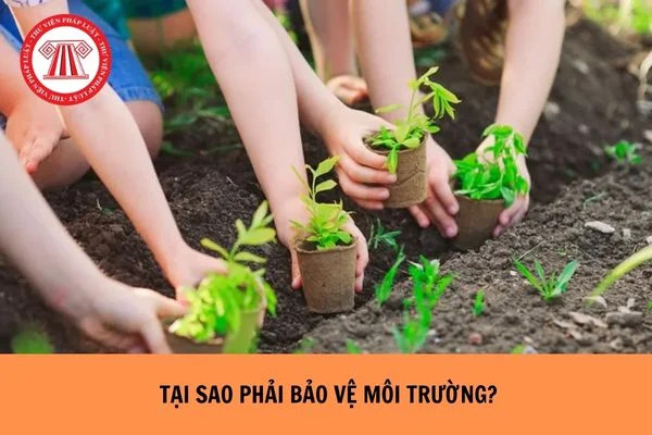 Tại sao phải bảo vệ môi trường và các nguyên tắc cốt lõi