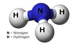 Mô hình phân tử ammonia