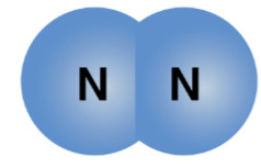 Mô hình phân tử nitrogen