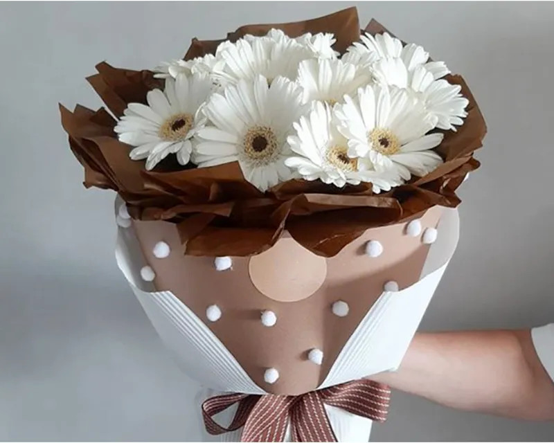 Trong phong thủy, cúc đồng tiền trắng tượng trưng của sự may mắn và tài lộc