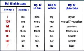Đại Từ Trong Tiếng Anh: Nhân Xưng, Sở Hữu, Tân Ngữ và Phản Thân