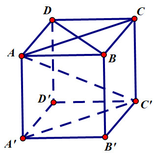 Góc giữa A'C' và B'C