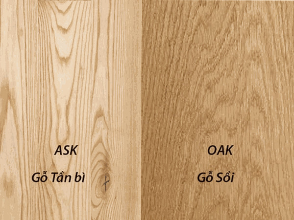 Gỗ tần bì và gỗ sồi