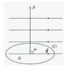 Trường hợp vuông góc