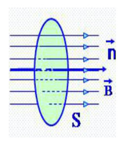 Trường hợp song song