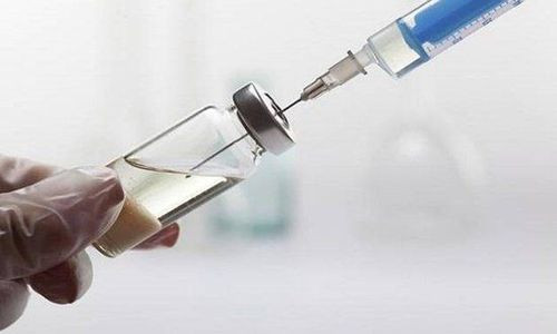 Globulin miễn dịch đóng vai trò quan trọng trong hệ miễn dịch