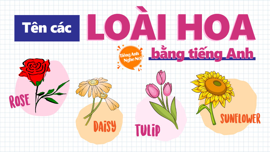 Tên các loài hoa bằng tiếng Anh