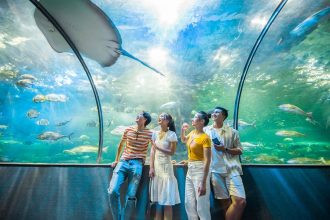 Chiêm ngưỡng thế giới đại dương bao la, huyền ảo tại thủy cung Vinpearl Aquarium Times City