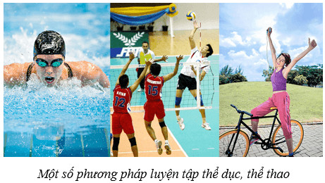 Các hoạt động thể thao tốt cho hệ vận động