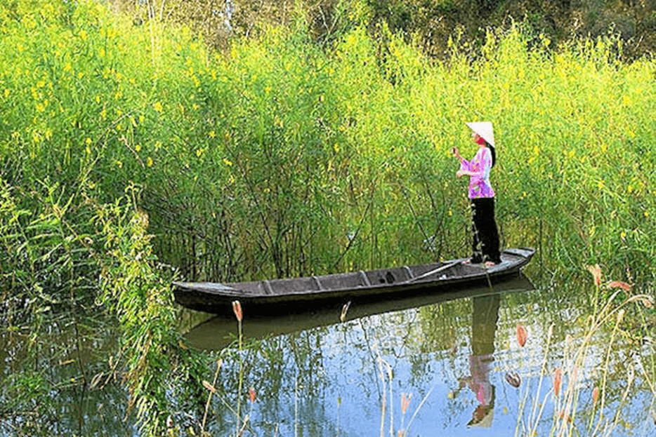 Phân tích bài viết “Trở gió” – Kết nối tri thức