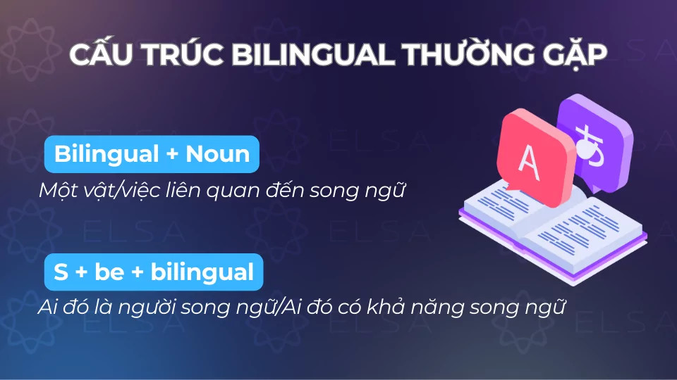 Cấu trúc bilingual thường gặp