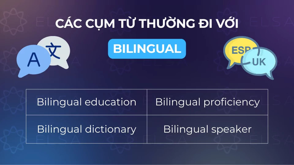 Các cụm từ thường đi với bilingual